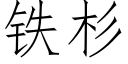 铁杉 (仿宋矢量字库)