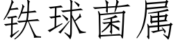 铁球菌属 (仿宋矢量字库)