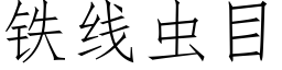 鐵線蟲目 (仿宋矢量字庫)