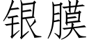 银膜 (仿宋矢量字库)