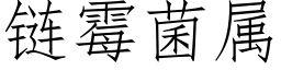 链霉菌属 (仿宋矢量字库)