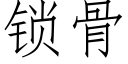 鎖骨 (仿宋矢量字庫)