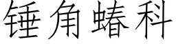 錘角蝽科 (仿宋矢量字庫)