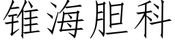 锥海胆科 (仿宋矢量字库)