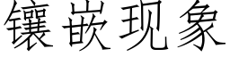 镶嵌现象 (仿宋矢量字库)