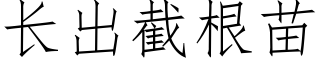 長出截根苗 (仿宋矢量字庫)
