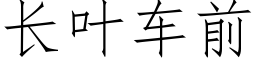 长叶车前 (仿宋矢量字库)