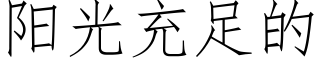 陽光充足的 (仿宋矢量字庫)