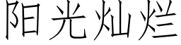 阳光灿烂 (仿宋矢量字库)