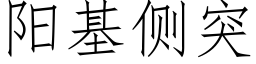 阳基侧突 (仿宋矢量字库)