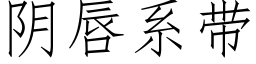 阴唇系带 (仿宋矢量字库)