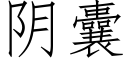 阴囊 (仿宋矢量字库)