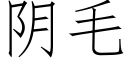 阴毛 (仿宋矢量字库)