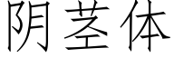 阴茎体 (仿宋矢量字库)