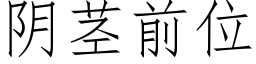 阴茎前位 (仿宋矢量字库)