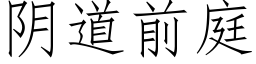 阴道前庭 (仿宋矢量字库)