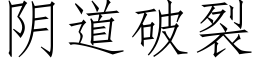 阴道破裂 (仿宋矢量字库)