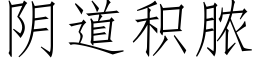 阴道积脓 (仿宋矢量字库)