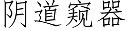 阴道窥器 (仿宋矢量字库)