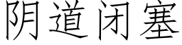 阴道闭塞 (仿宋矢量字库)