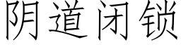 阴道闭锁 (仿宋矢量字库)