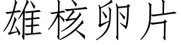 雄核卵片 (仿宋矢量字库)