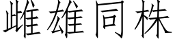 雌雄同株 (仿宋矢量字库)