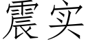 震实 (仿宋矢量字库)