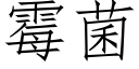 霉菌 (仿宋矢量字库)