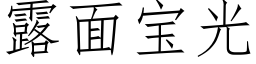 露面寶光 (仿宋矢量字庫)