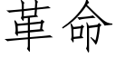 革命 (仿宋矢量字库)