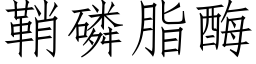 鞘磷脂酶 (仿宋矢量字库)