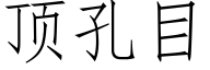 顶孔目 (仿宋矢量字库)