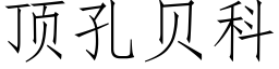 顶孔贝科 (仿宋矢量字库)