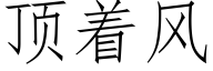 顶着风 (仿宋矢量字库)