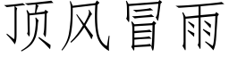 頂風冒雨 (仿宋矢量字庫)