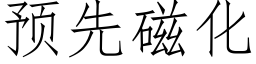 預先磁化 (仿宋矢量字庫)