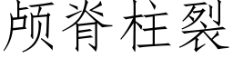 颅脊柱裂 (仿宋矢量字库)