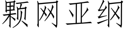 顆網亞綱 (仿宋矢量字庫)