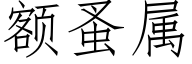 额蚤属 (仿宋矢量字库)