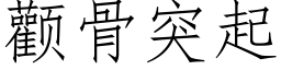 顴骨突起 (仿宋矢量字庫)