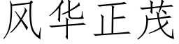 风华正茂 (仿宋矢量字库)