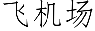 飛機場 (仿宋矢量字庫)