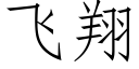 飛翔 (仿宋矢量字庫)