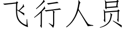 飛行人員 (仿宋矢量字庫)