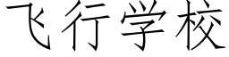 飛行學校 (仿宋矢量字庫)