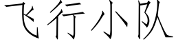 飛行小隊 (仿宋矢量字庫)