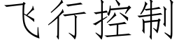 飛行控制 (仿宋矢量字庫)