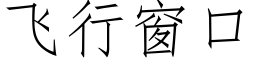 飛行窗口 (仿宋矢量字庫)