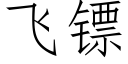 飛镖 (仿宋矢量字庫)